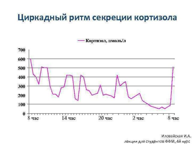 Ритм дня. Суточный ритм секреции кортизола. Суточный (циркадный) ритм секреции кортизола. Суточный ритм секреции гормона роста. Циркадный ритм продукции кортизола.